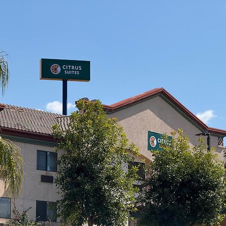 Citrus Suites Redlands Loma Linda Hotel Εξωτερικό φωτογραφία